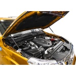 Amortizor capota pentru Nissan Navara IV 2015-, Rival - Stabilus ® - imagine 2