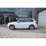Praguri Laterale BMW X5 14 -> - ARP Artemis Silver - imagine 8