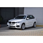 Praguri Laterale BMW X5 14 -> - ARP Artemis Silver - imagine 13