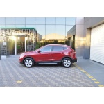 Praguri Laterale Nissan Qashqai 17 -> - ARP Artemis Silver - imagine 12