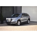 Praguri Laterale Skoda Kodiaq 17 -> - ARP Artemis Black - imagine 6
