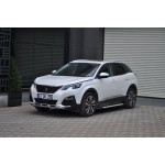 Praguri Laterale Peugeot 3008 17 -> - ARP Artemis Silver - imagine 11