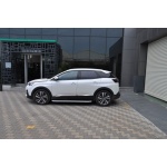 Praguri Laterale Peugeot 3008 17 -> - ARP Newstar Chrome - imagine 7