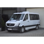 Praguri Laterale Mercedes Sprinter LWB 14 -> - ARP Ronesans Silver - imagine 6