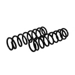 Arcuri elicoidale Skyjacker pentru lift 75mm - Jeep Cherokee XJ