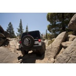 Canistra Cam Can Trail box griÂ Daystar