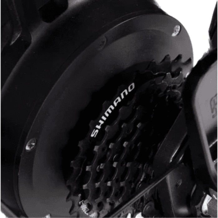Bicicletă electrică fat bike 20 inch Ape Ryder Baboon Cream, 250W, 48V 14.5Ah, 25 km/h, autonomie 50 km, display LCD - imagine 6