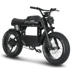 Bicicletă electrică fat bike 20 inch pentru adulți, cu motor 250W, baterie 48V 20Ah, autonomie de până la 70 km și display LCD