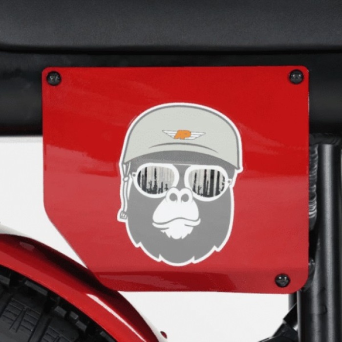 Bicicletă electrică fat bike 20 inch Ape Ryder Gibbon Fiery Red, 250W, 48V 20Ah, 25 km/h, autonomie 70 km, display LCD - imagine 10