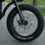Bicicletă electrică fat bike 20 inch Ape Ryder Gibbon Fiery Red, 250W, 48V 20Ah, 25 km/h, autonomie 70 km, display LCD - imagine 9