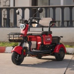 Triciclu electric fără permis 25km/h Kuba Grape 15 2 persoane autonomie 40-50km - imagine 9