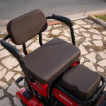 triciclu electric persoane Kuba Grape 15 două scaune
