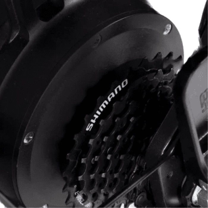 Bicicletă electrică fat bike 20 inch Ape Ryder Gibbon Slate Gray, 250W, 48V 20Ah, 25 km/h, autonomie 70 km, display LCD - imagine 10