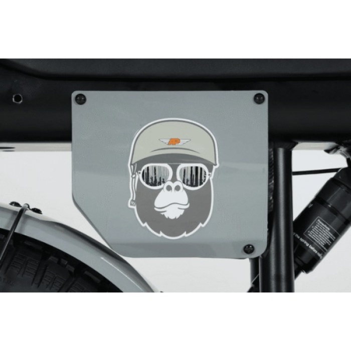 Bicicletă electrică fat bike 20 inch Ape Ryder Gibbon Slate Gray, 250W, 48V 20Ah, 25 km/h, autonomie 70 km, display LCD - imagine 5