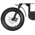 Bicicletă electrică fat bike 20 inch Ape Ryder Gibbon Slate Gray, 250W, 48V 20Ah, 25 km/h, autonomie 70 km, display LCD - imagine 7