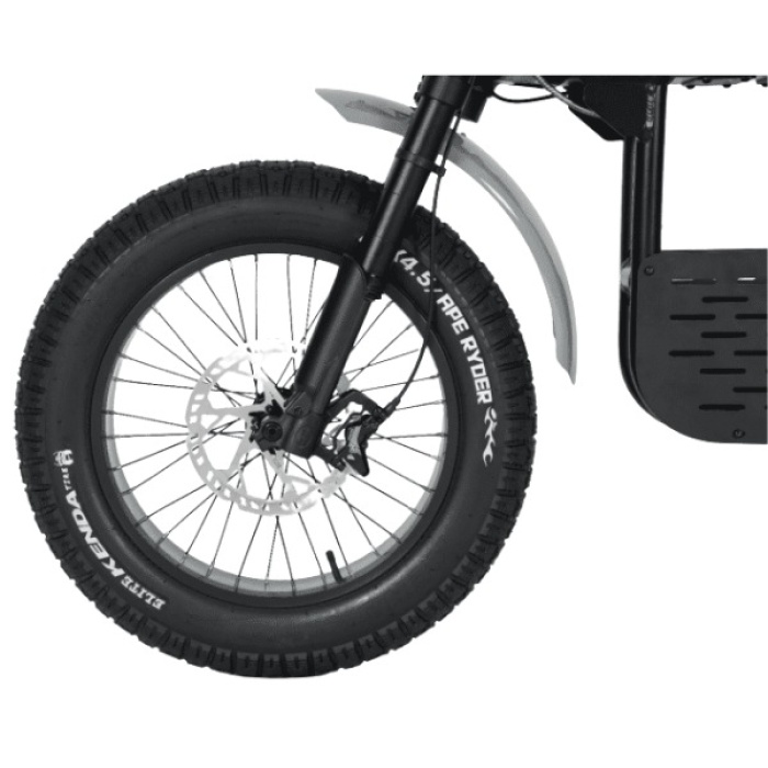 Bicicletă electrică fat bike 20 inch Ape Ryder Gibbon Slate Gray, 250W, 48V 20Ah, 25 km/h, autonomie 70 km, display LCD - imagine 7