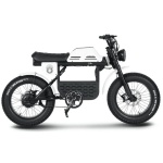 bicicleta electrica fat bike 20 inch pentru adulti Ape Ryder Gibbon Pure White