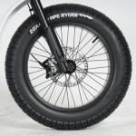 Bicicletă electrică fat bike 20 inch Ape Ryder Gibbon Pure White, 250W, 48V 20Ah, 25 km/h, autonomie 70 km, display LCD - imagine 6