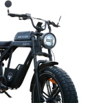 Bicicletă electrică Ape Ryder Baboon Black, 250W, 48V 14.5Ah, 25 km/h, autonomie 50 km, roți 20", display LCD - imagine 7
