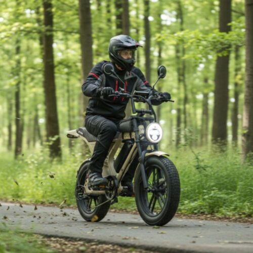 Bicicletă electrică Ape Ryder Mandrill Ultra - imagine 10