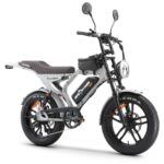imagine prezentare bicicleta ape ryder mandrill ultra gray